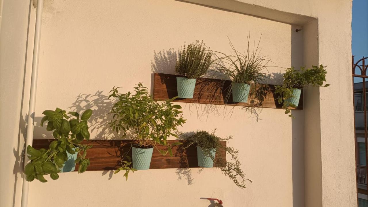 Domus Vacanze Romane ภายนอก รูปภาพ